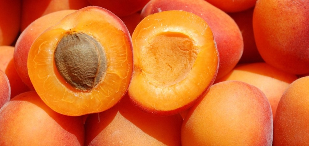 абрикосовая косточка