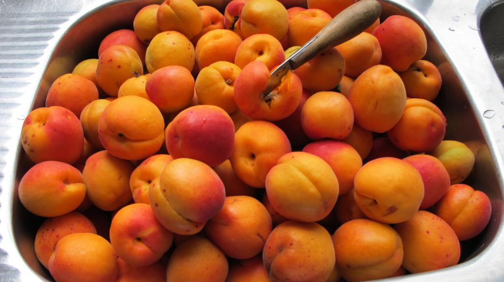 Консервирование абрикосов