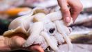 Как правильно приготовить кальмаров — 10 пошаговых рецептов