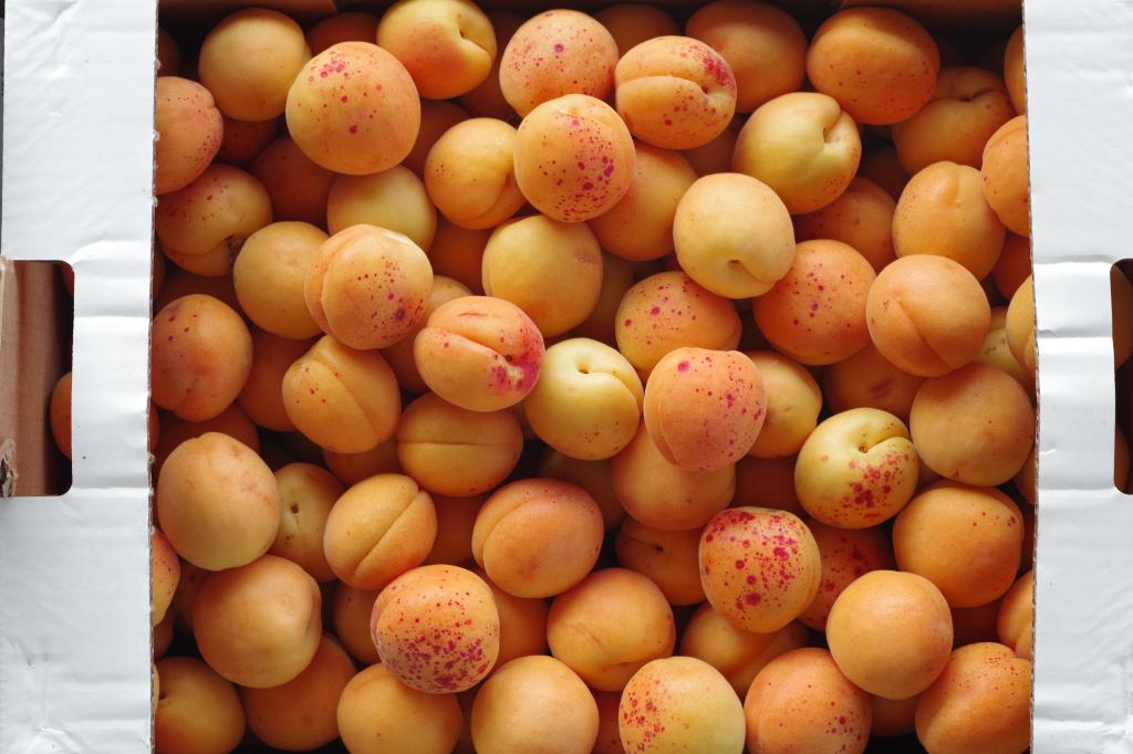 Как подготовить абрикосы