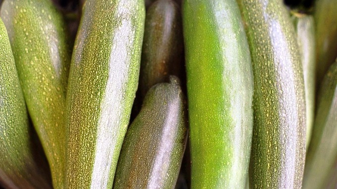 Зеленые кабачки