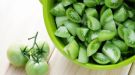 Что можно приготовить из зеленых помидоров – рецепты закаток и не только