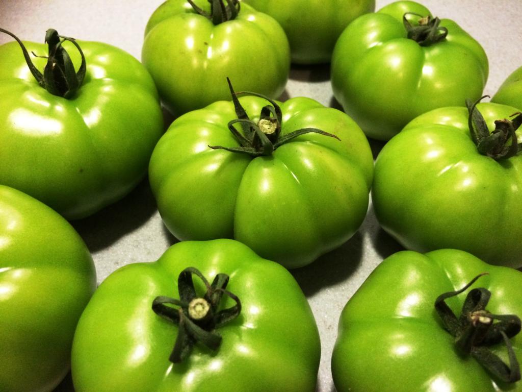 соленые зеленые помидоры