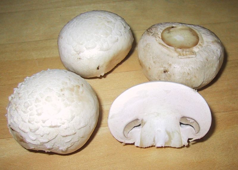 солянка из грибов